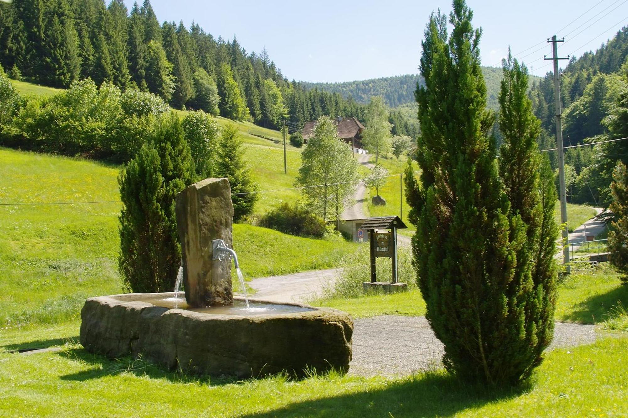 Gaestehaus Absbachtal Bad Rippoldsau-Schapbach Eksteriør bilde